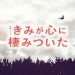 きみ棲みのロケ地｜水族館の撮影場所はどこ？吉岡里帆の目撃情報も