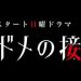トドメの接吻のロケ地やホストクラブの撮影場所は横浜のどこ？ドメキス